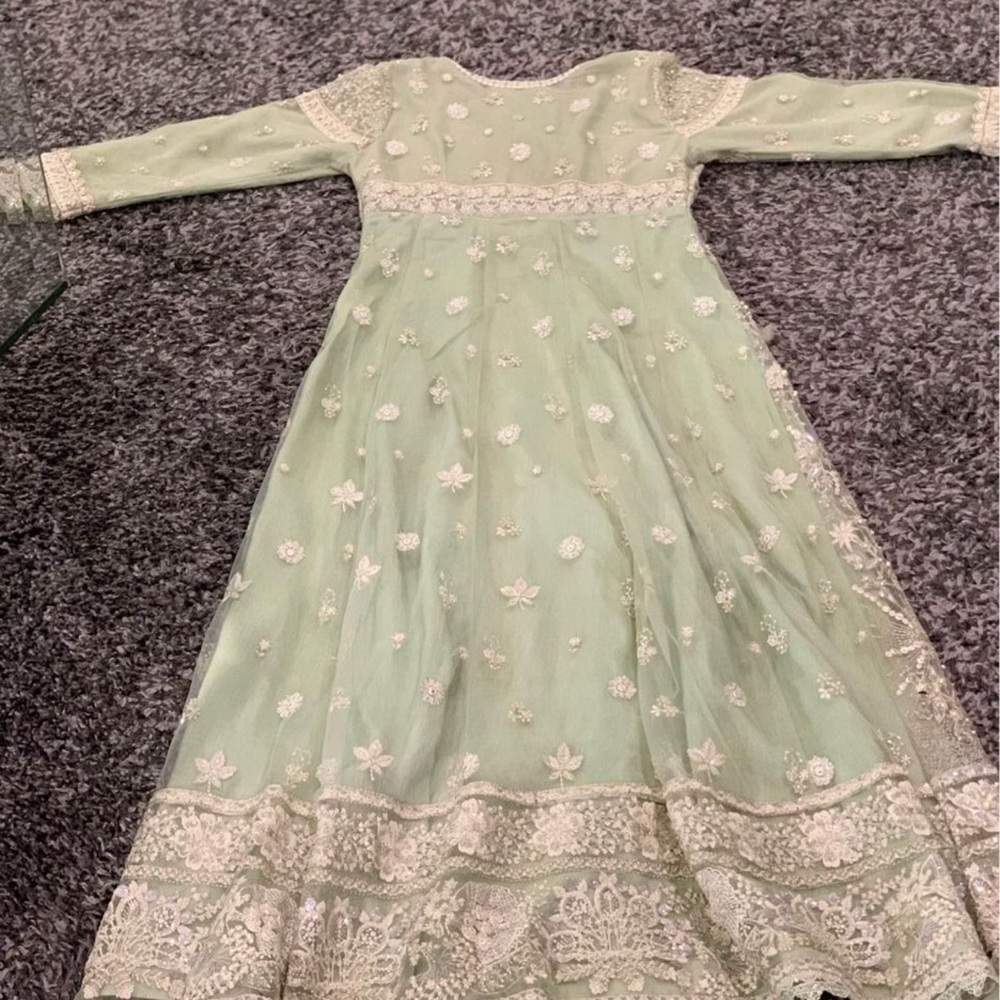 Desi Pistachio Green Gown - Picture 2 of 6